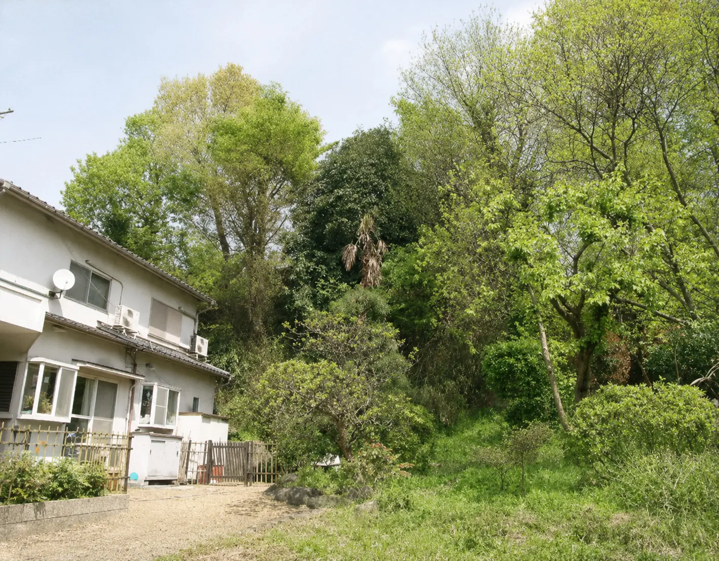 興福寺の緑に囲まれた奈良市の池尾小児歯科